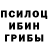 Псилоцибиновые грибы Psilocybine cubensis Ana Naumovaa