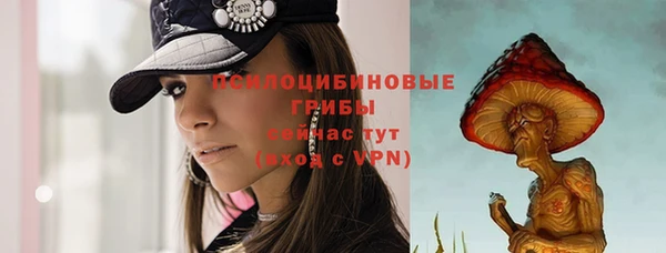 прущая мука Горняк
